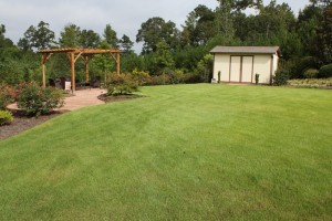 A Beautiful Yard in Helena, Al